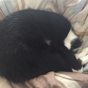 Meet your Posher, Wendy